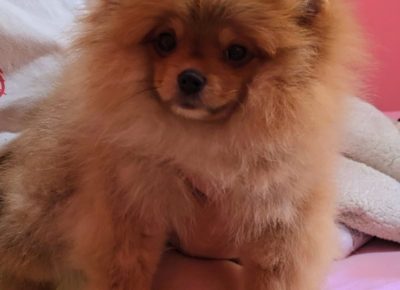 viberimage202407110905032181720981192