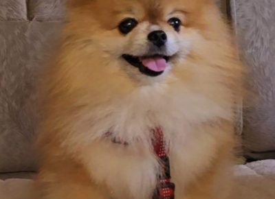 viberimage202407111647310101720981192