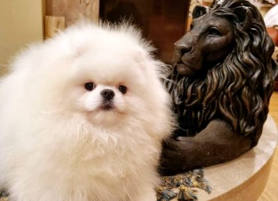 viberimage202408090053529601724098270