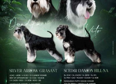 silveršna1725284189