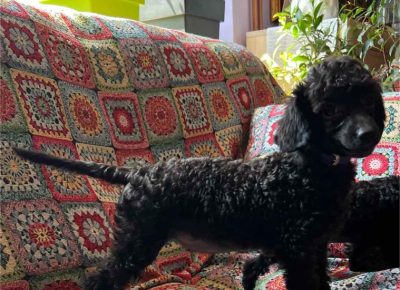 viberimage202408261928017121725576179