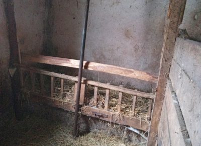 IMG202212041324101730123651