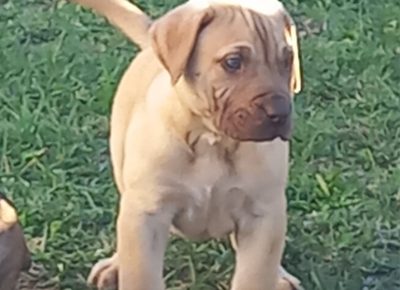 viberimage202410081039266781728593353