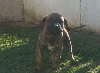 viberimage202410081039271511728593354