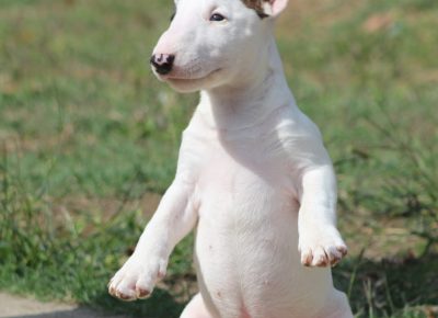 viberimage202410231940028691730119411