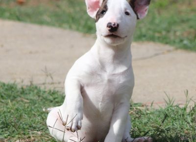 viberimage202410231940186161730119412