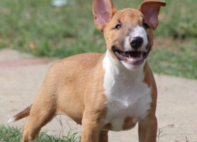 viberimage202410231940307561730119413