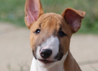 viberimage202410231940361241730119410