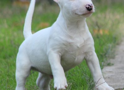 viberimage202410231941491661730119412