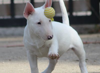 viberimage202410231944233921730119413