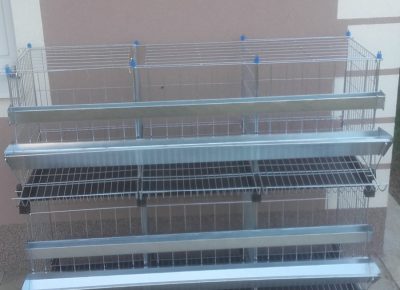 viberslika202410281632325741730559242