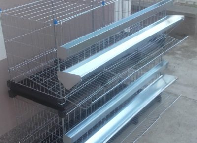 viberslika202410281632326011730559234