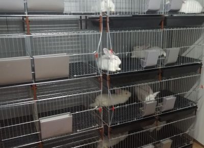 viberslika202410281632328991730559250