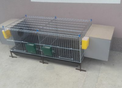 viberslika202410281632329971730559254