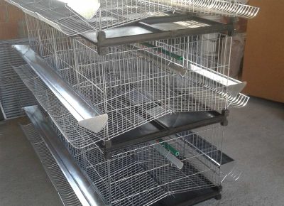 viberslika202410281632331941730559276