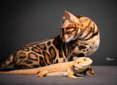 3684034466737089781131272897451924113227662n1733093222