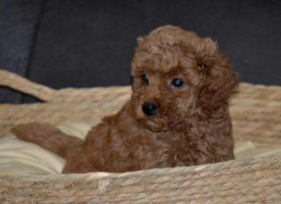 4625833345576660636571221305730526225016088n1734719074