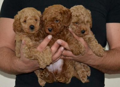 46763374312910284122374542890046508446126008n1734719075