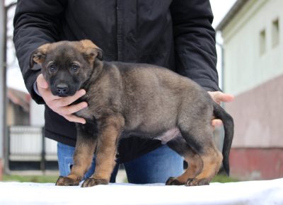 viberslika202412242128103571735325136