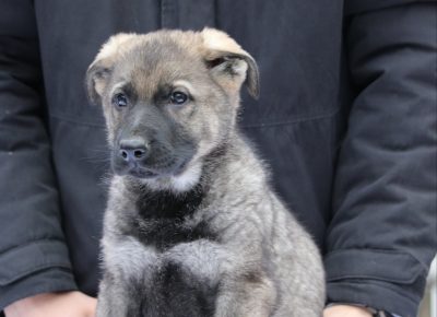 viberslika202412242128118721735325134