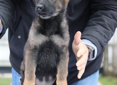 viberslika202412242128121881735325132