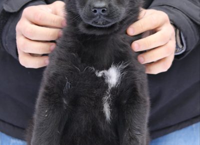 viberslika202412242128124541735325132