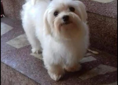 046334df40054cbbf41b81c253dc66e601735734475