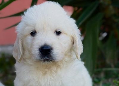 47270792023707803566060644672484136850914414n1736539267