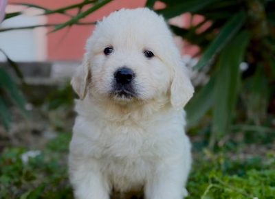 47279022211549074363097271719004421411417827n1736539264