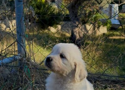 zz4721310969200743202473203587884450745326892n1736539266