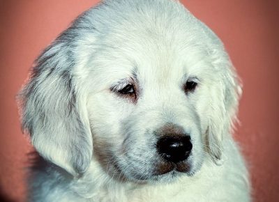 000ba71844224db29fa5b85d8c1c94371739478463