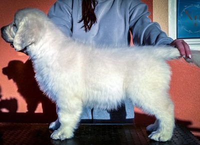 796cbf8c19614a8a9fa793a4a4f93a071739478464