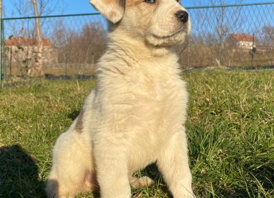 IMG20250208WA00201740327914