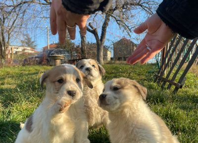 IMG20250208WA00221740327947