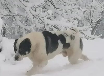 IMG202502201454251740327978