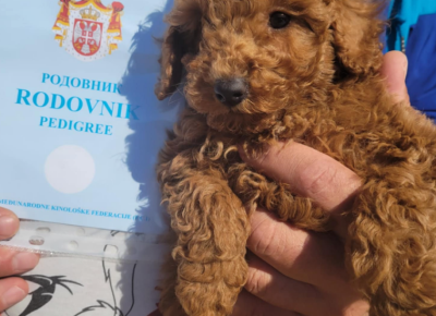 aafgfdfg757x102411740348845