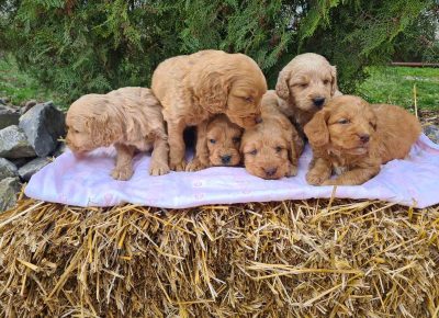 viberimage202502031305477271738802286