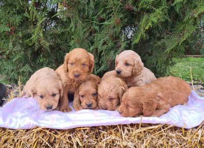 viberimage202502031305478501738802287