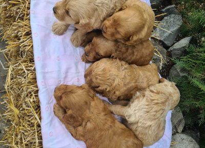 viberimage202502031305478781738802287