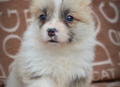 viberimage202502171325016181740088711