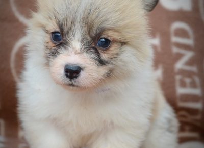 viberimage202502171325023561740088713