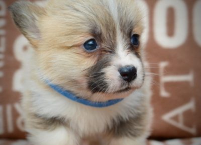 viberimage202502171325035261740088715