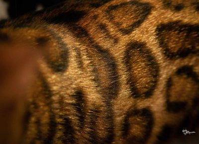 3677784048509127597185117377101061312919477n1024x6841742599287