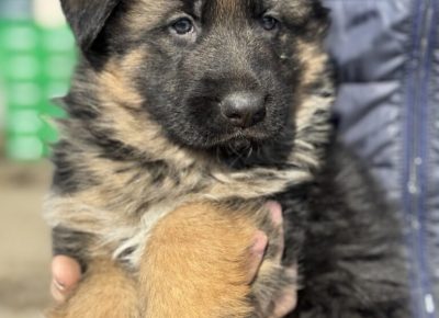 viberimage20250222123400575768x10241741428922