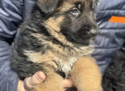 viberimage20250222123411872768x10241741428926