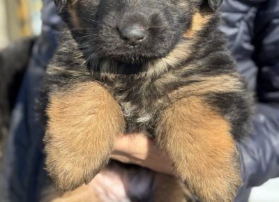 viberimage20250222123434741768x10241741428923