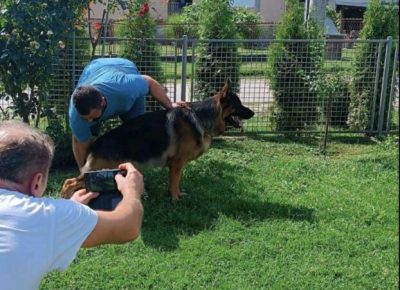 viberimage20250222123922911622x10241741428925