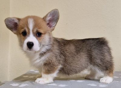 viberimage202503162043039901742501012