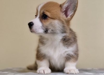 viberimage202503162043040711742501013