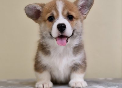 viberimage202503162043041181742501012